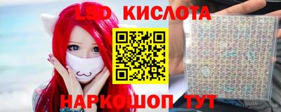 прущие грибы Ирбит