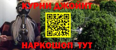 прущие грибы Ирбит