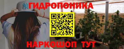 прущие грибы Ирбит