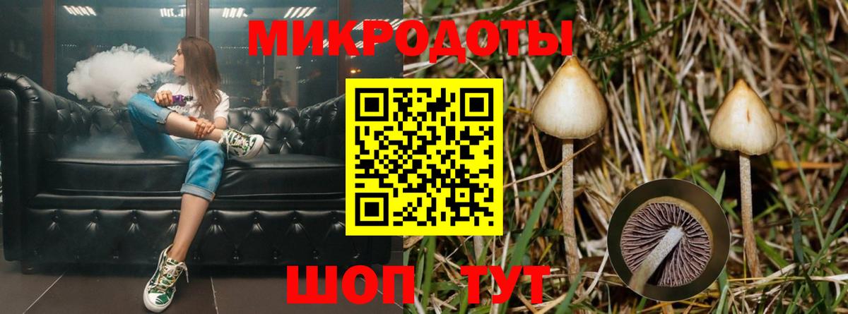 Галлюциногенные грибы ЛСД Ивантеевка